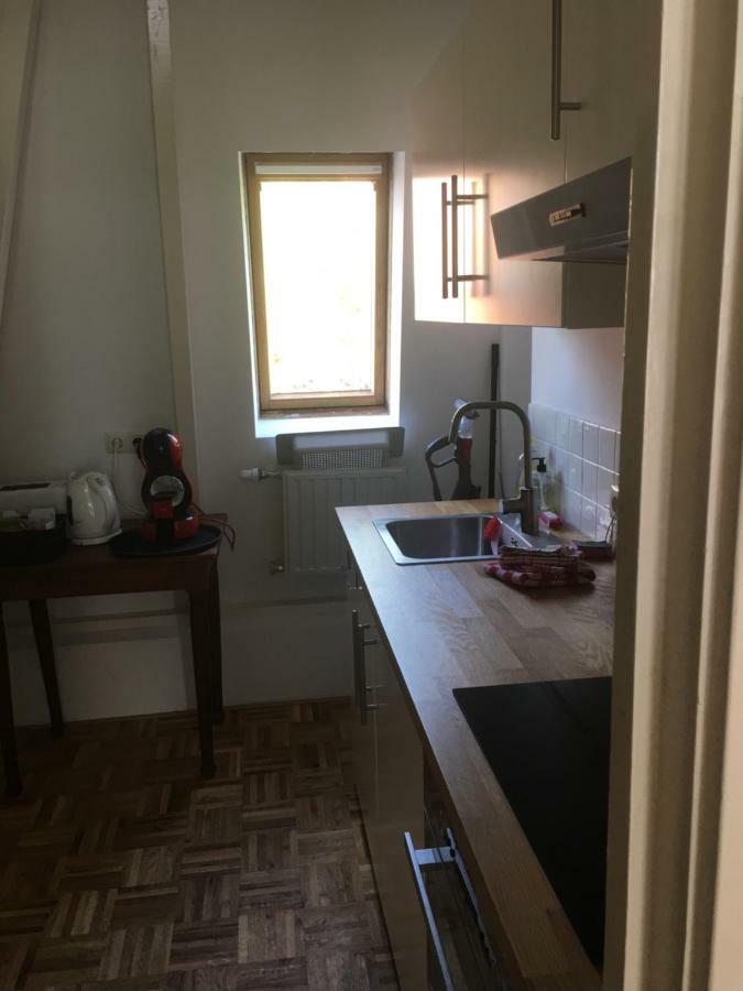 Pied A Terre Oostersingel Umcg Διαμέρισμα Γκρόνιγκεν Εξωτερικό φωτογραφία